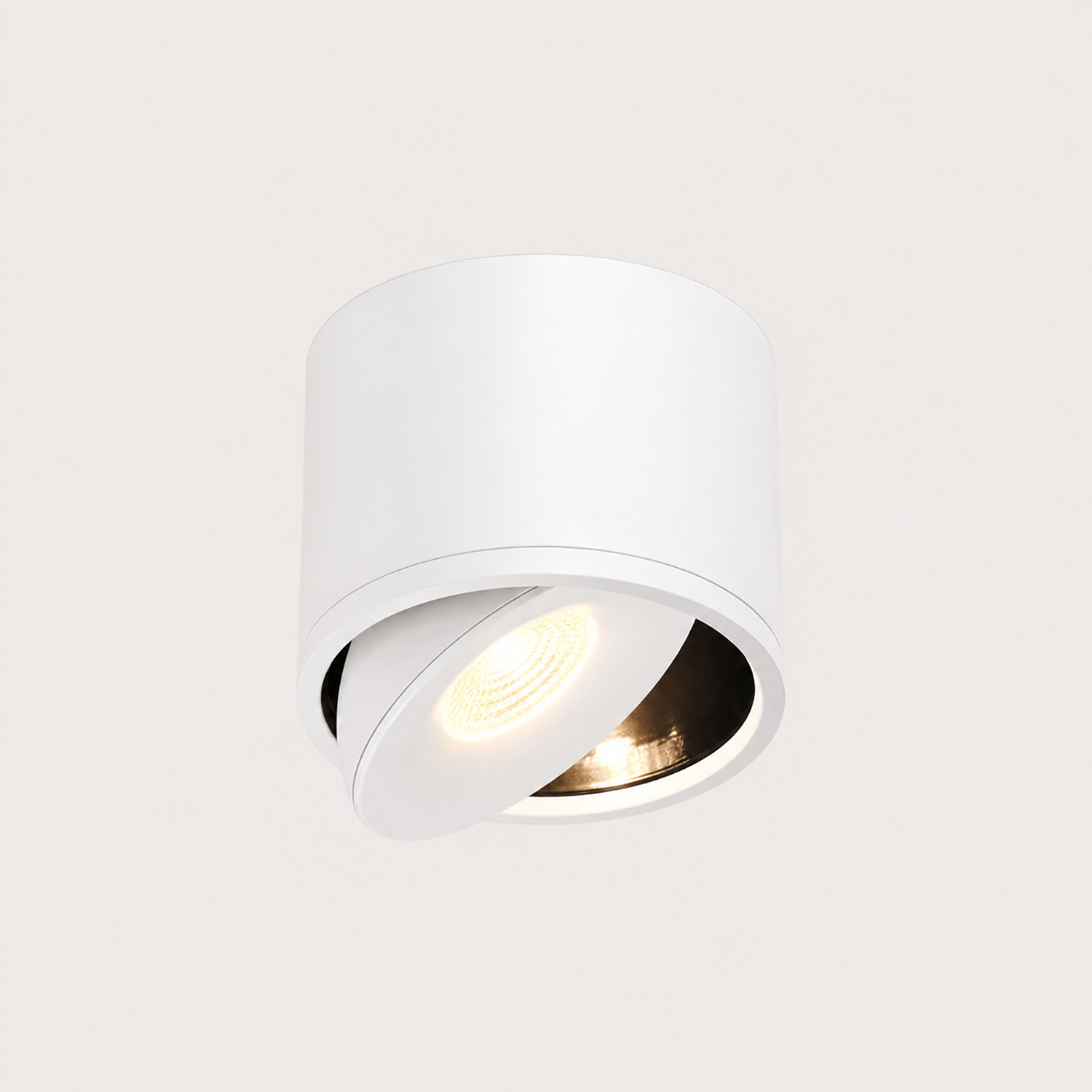LED Downlight | Adjustable ceiling lighting with a modern finish